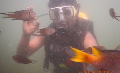 Scuba Diving in Goa