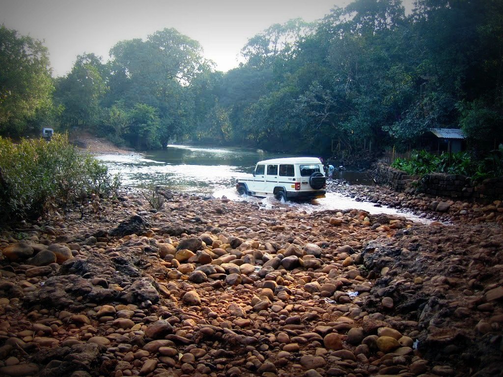 Jungle Safari Goa | Goa Wildlife Safari | Elephant Safari